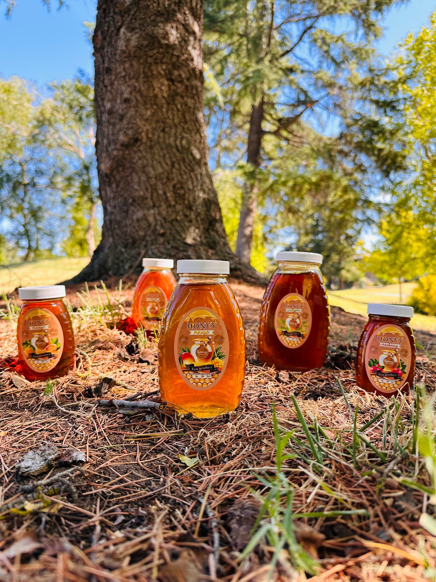 Choose your honey 3